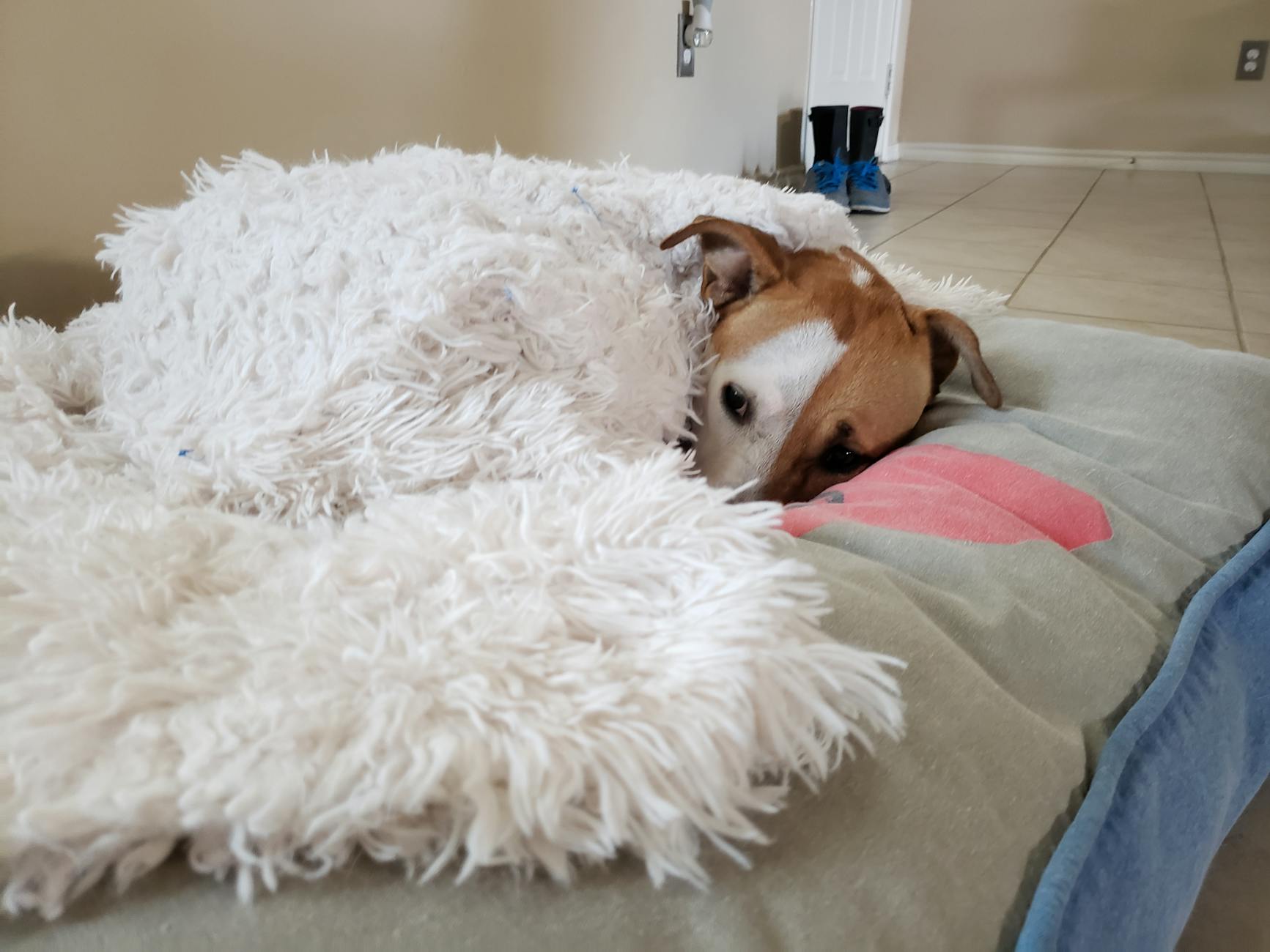 Nextdoor CEO Nirav Tolia Opening Dallas Office in Uptown